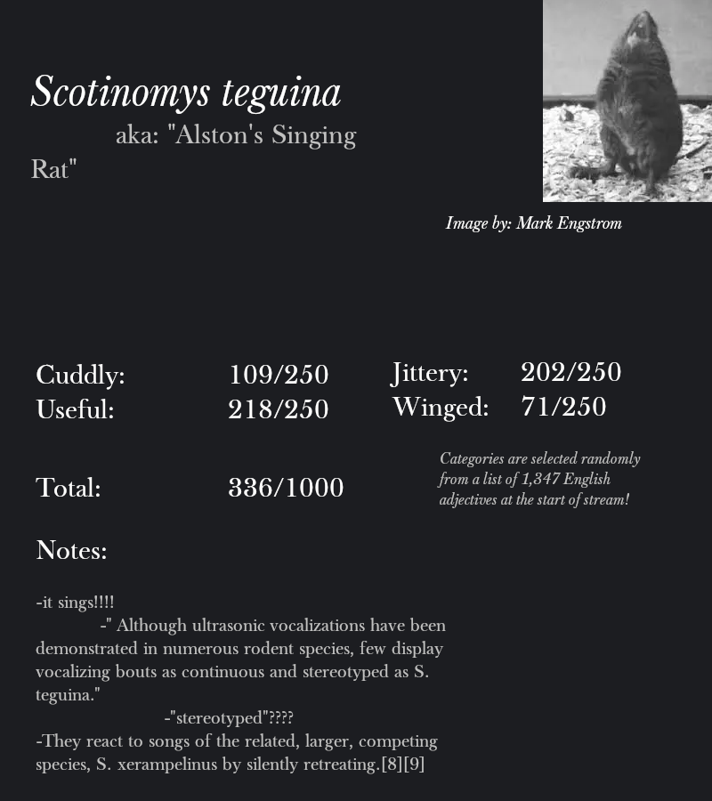 Scotinomys teguina